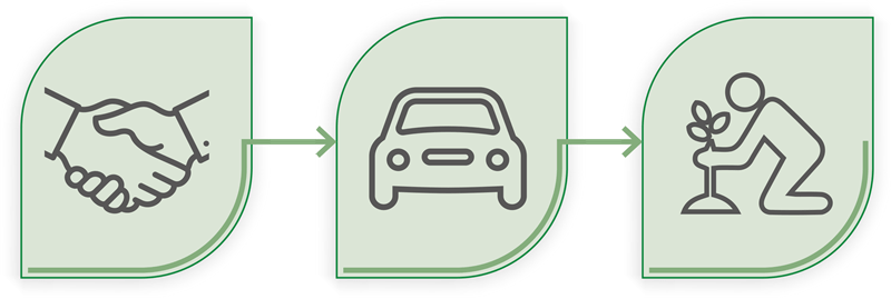 Grønne ikoner af plantning af Lindholm Skov