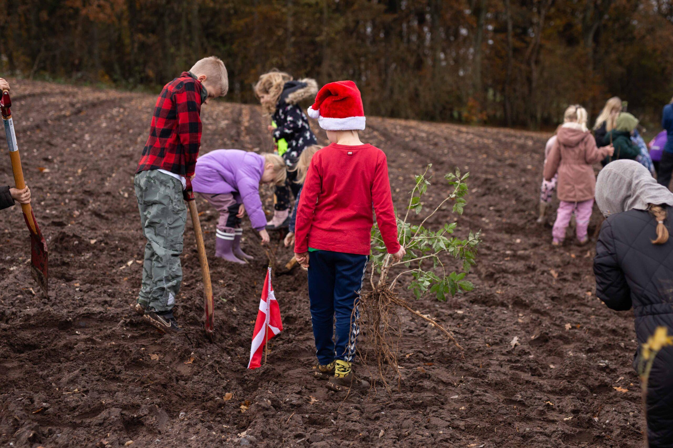 Børn planter træer i Lindholm Skov for fjerde gang